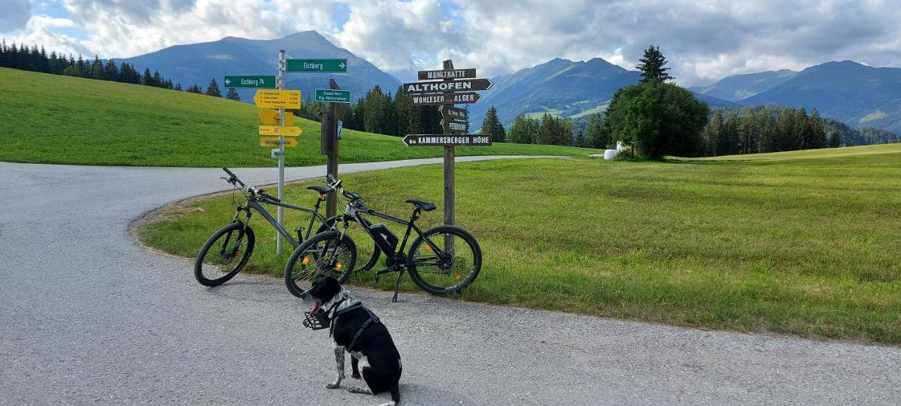 Camping Bella Austria Sankt Peter am Kammersberg Zewnętrze zdjęcie