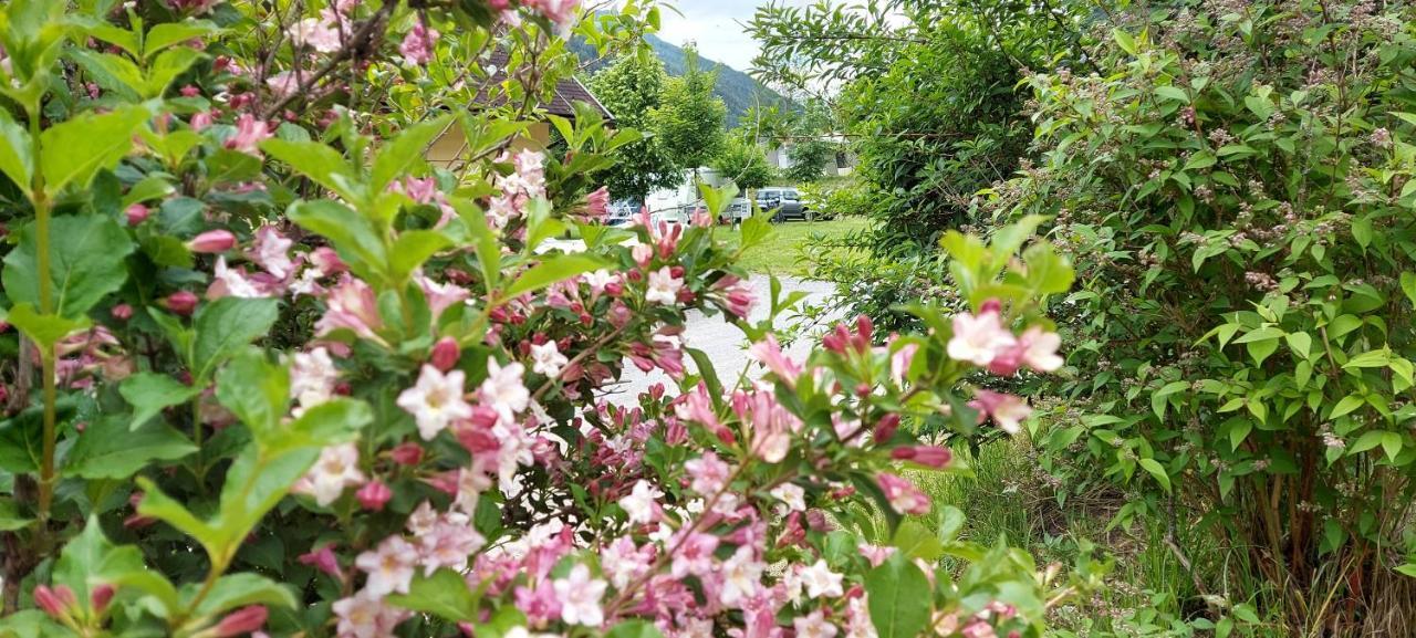 Camping Bella Austria Sankt Peter am Kammersberg Zewnętrze zdjęcie