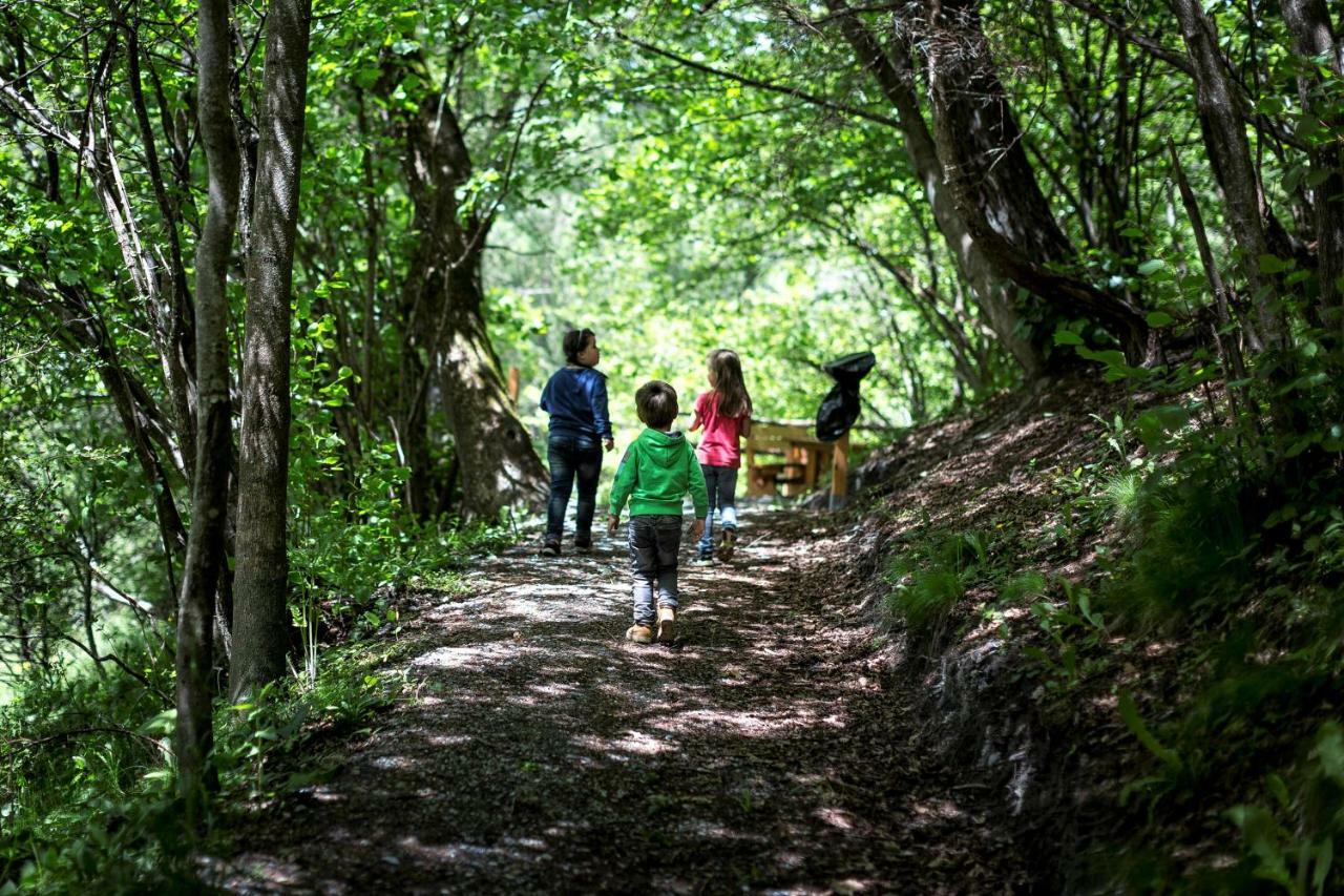 Camping Bella Austria Sankt Peter am Kammersberg Zewnętrze zdjęcie